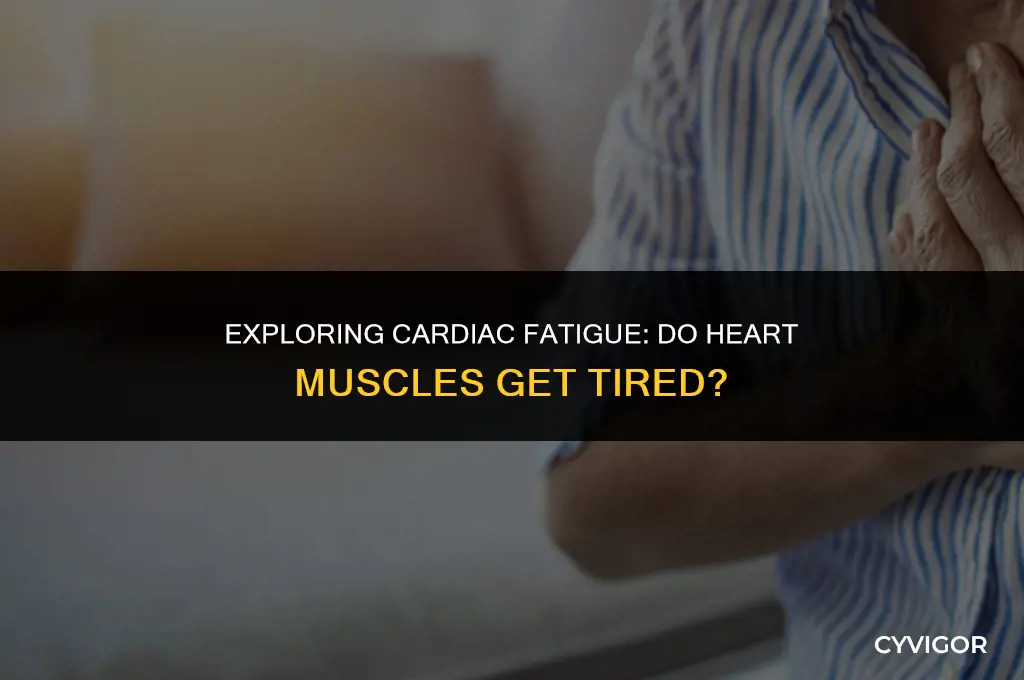 do heart muscles get tired