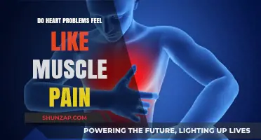 Heart Issues or Muscle Pain? Understanding the Overlapping Symptoms