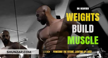 Lifting Heavy: The Science Behind Building Muscle Mass