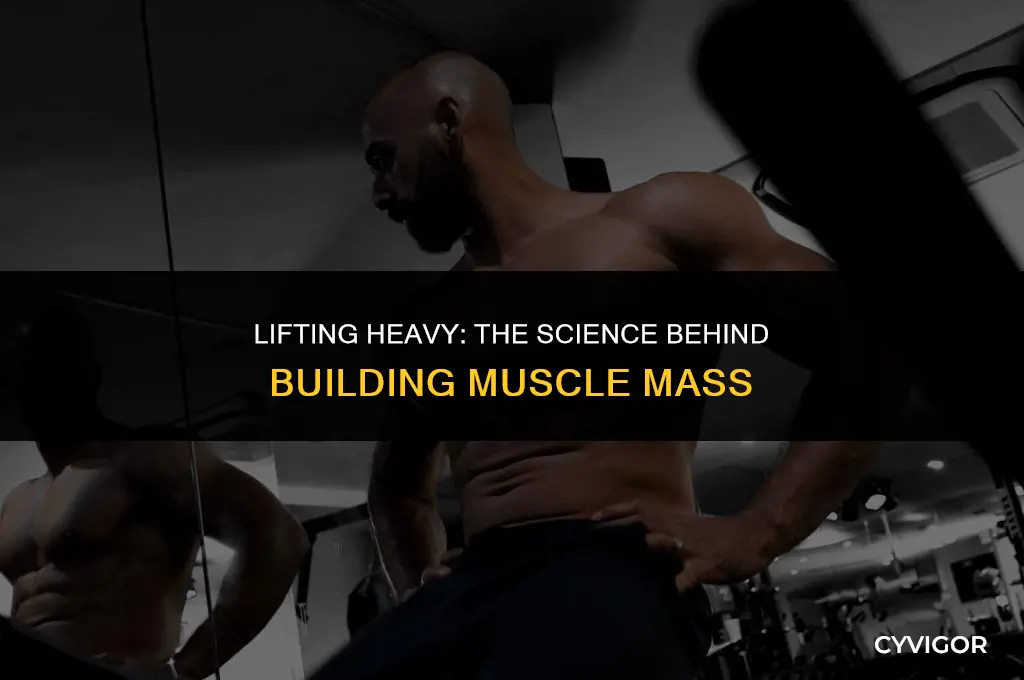 do heavier weights build muscle