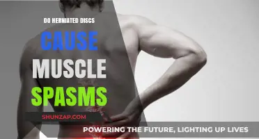 Herniated Discs and Muscle Spasms: What's the Link?