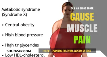 High Blood Sugar and Muscle Pain: Is There a Link?