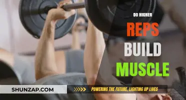 Unraveling the Myth: Do Higher Reps Really Build Muscle?