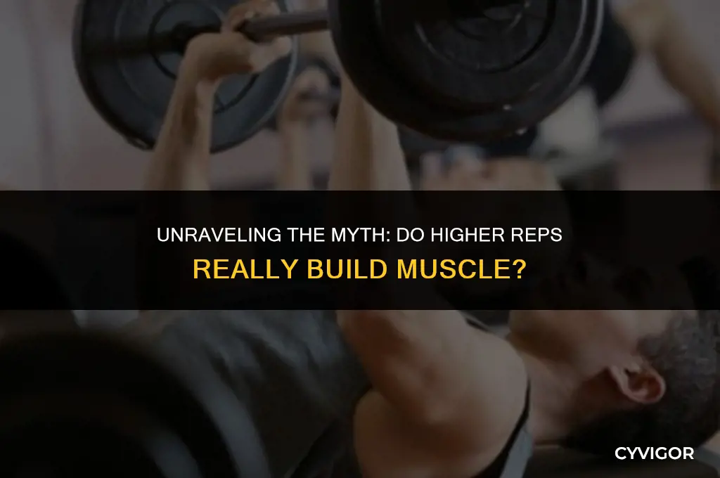 do higher reps build muscle