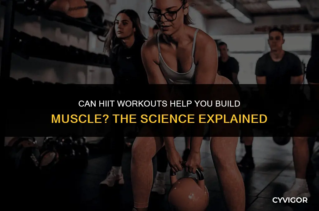 do hiit workouts build muscle