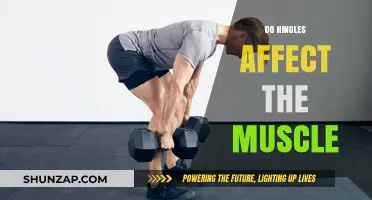 Exploring the Impact of Hinges on Muscle Function and Performance