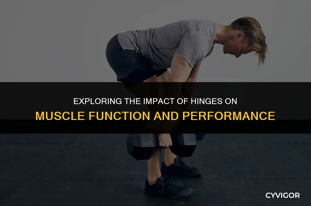 do hingles affect the muscle