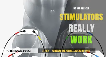 Hip Muscle Stimulators: Effective Solution or Just a Fad?