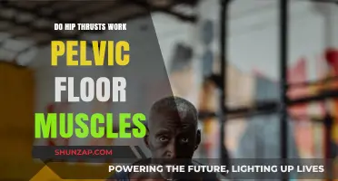 Hip Thrusts and Pelvic Floor: Strengthening Benefits Explained