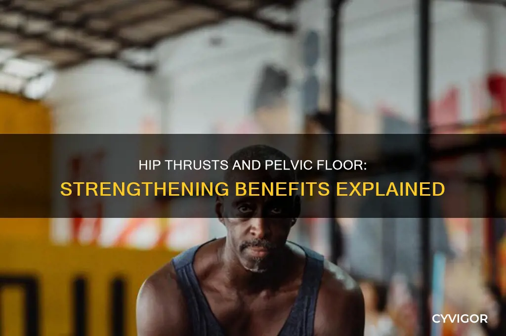 do hip thrusts work pelvic floor muscles