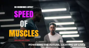 Hormonal Influence on Muscle Speed: Unraveling the Complex Relationship
