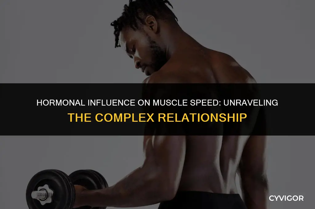 do hormones affect speed of muscles