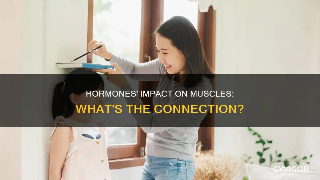 do hormones change muscles