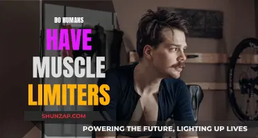 Exploring the Intriguing Limits of Human Muscular Potential