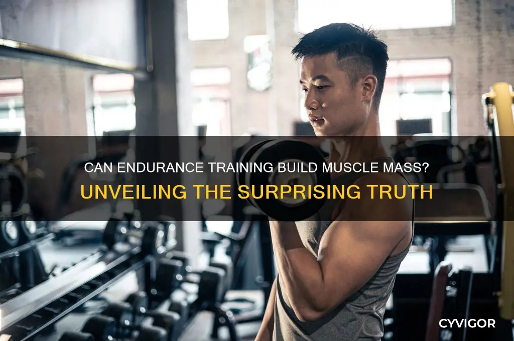 do i gain muscle mass from endurance training