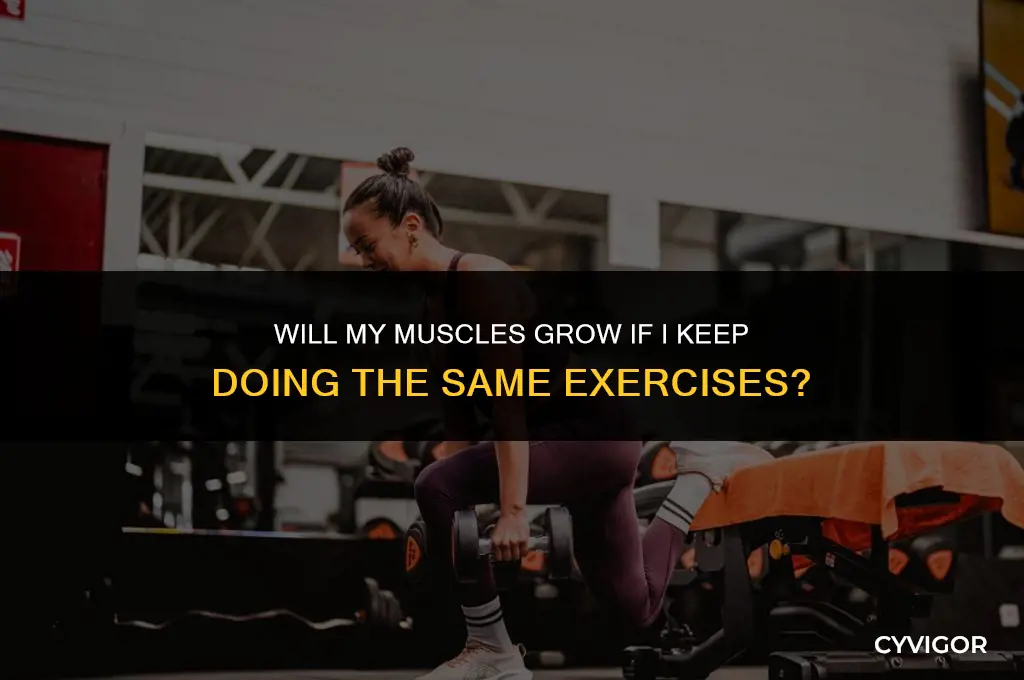 do i get muscle grow doing the same exercises