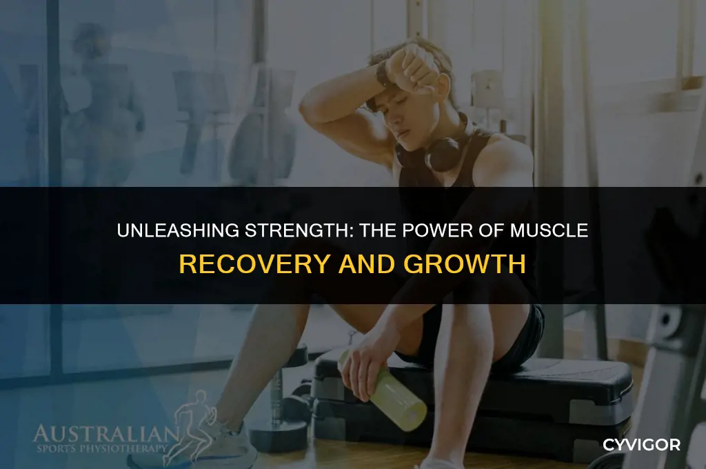 do i get stroger when my muscles heal