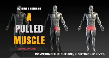 Hernia or Pulled Muscle: How to Tell the Difference and What to Do