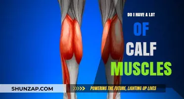 Unveiling the Truth: Do I Really Have Impressive Calf Muscles?