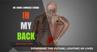 Back Pain Blues: How to Identify and Treat a Muscle Strain
