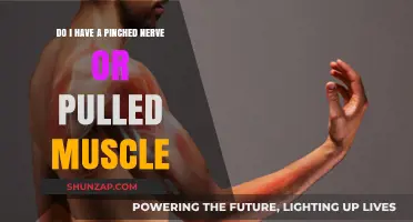 Pinched Nerve or Pulled Muscle: How to Tell the Difference