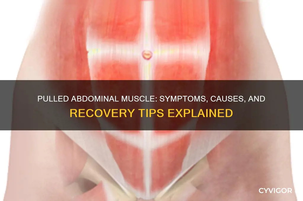 do i have a pulled abdominal muscle