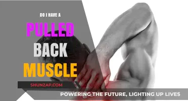 Pulled Back Muscle: Symptoms, Causes, and Quick Relief Tips