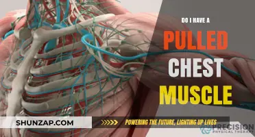 Pulled Chest Muscle: Symptoms, Causes, and Recovery Tips Explained