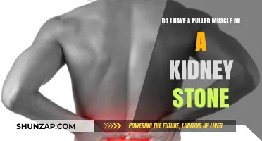 Pulled Muscle or Kidney Stone: Identifying Your Pain and Next Steps