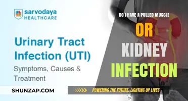 Pulled Muscle or Kidney Infection: Identifying Symptoms and Seeking Relief