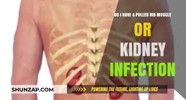 Pulled Rib Muscle vs. Kidney Infection: Symptoms and Differences Explained