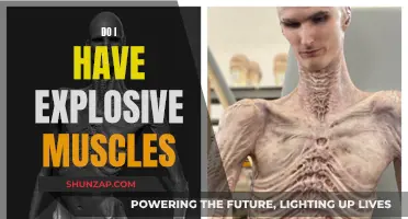 Explosive Muscles: Fact or Fiction?