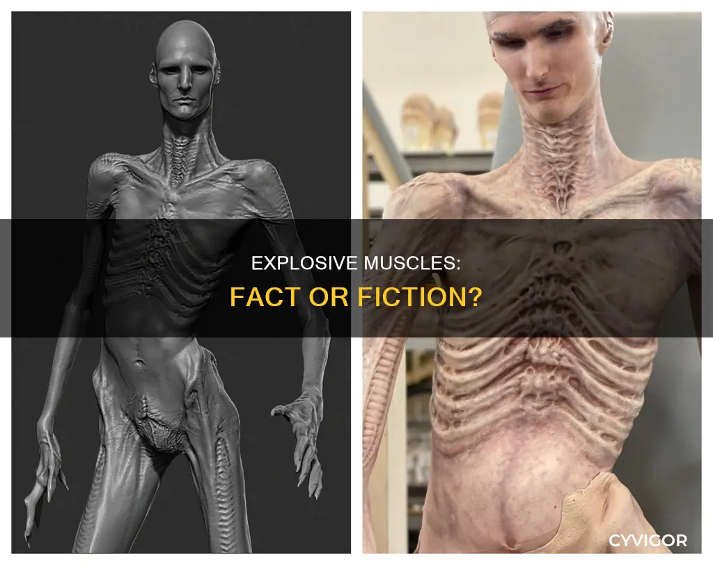 do i have explosive muscles