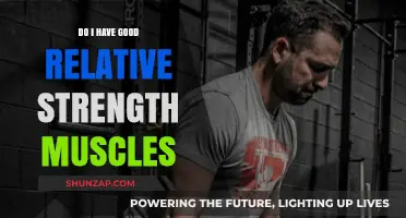 Assessing Your Relative Strength: Do Your Muscles Measure Up?