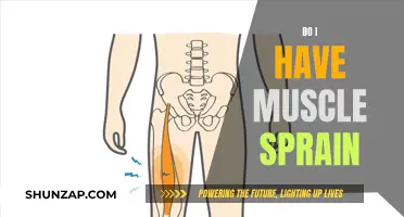Muscle Sprain: Understanding the Signs and Symptoms
