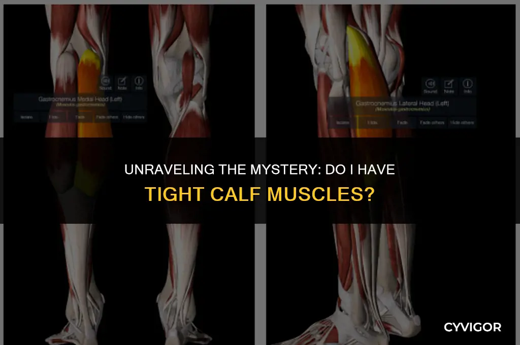 do i have tight calf muscles