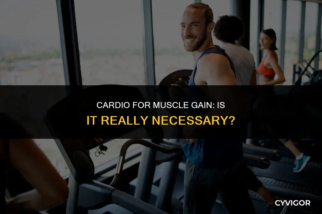 do i have to do cardio to get muscle