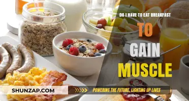 Breakfast and Muscle Gain: Essential Meal or Optional Fuel?