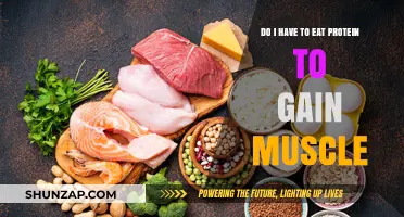 Protein and Muscle Gain: Is It a Must for Growth?