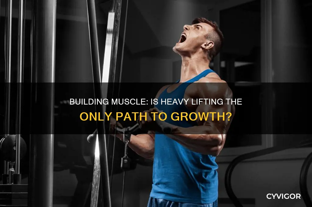 do i have to lift heavy to gain muscle