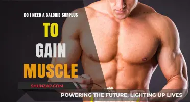 Calorie Surplus for Muscle Gain: Essential or Optional?