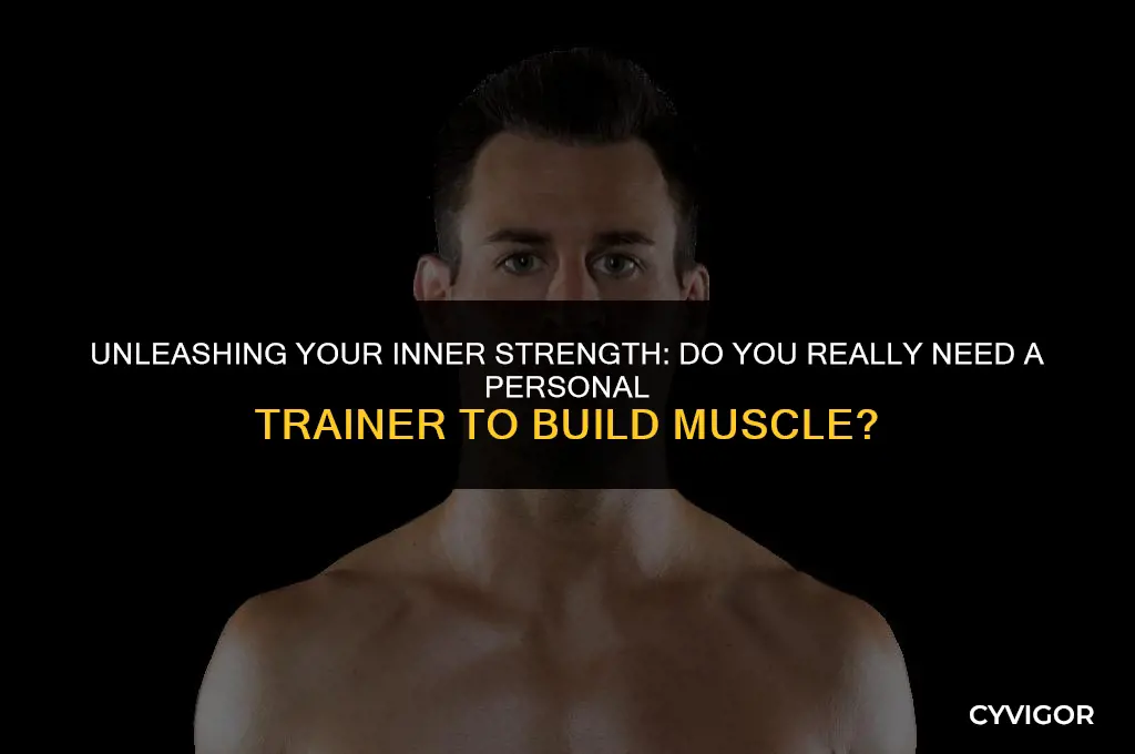 do i need a personal trainer to build muscle