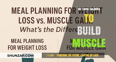 Fueling Muscle Growth: The Essential Role of Calories