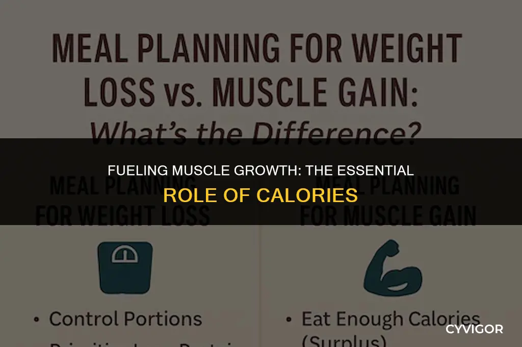 do i need calories to build muscle