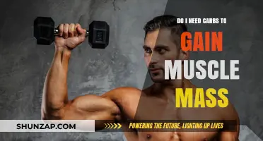 Carbs for Muscle Gain: Essential or Optional for Mass Building?