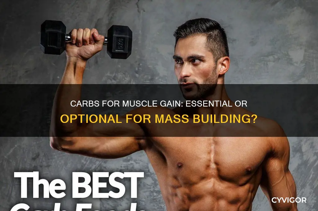 do i need carbs to gain muscle mass