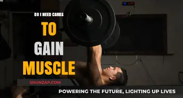 Carbs for Muscle Gain: Essential or Optional for Growth?