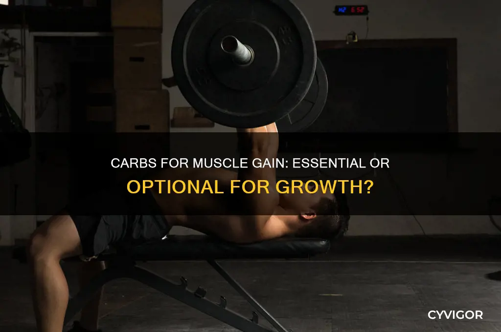 do i need carbs to gain muscle
