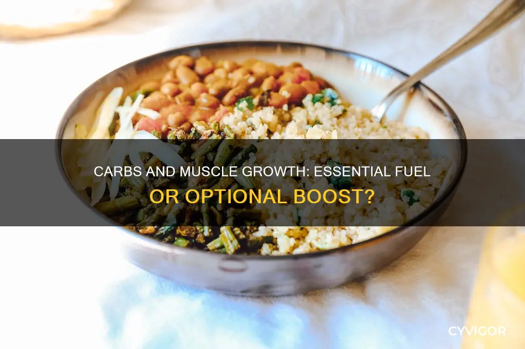do i need carbs to grow muscle