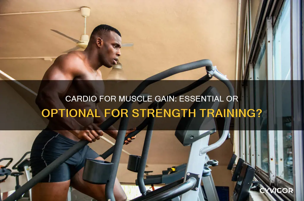 do i need cardio to gain muscle